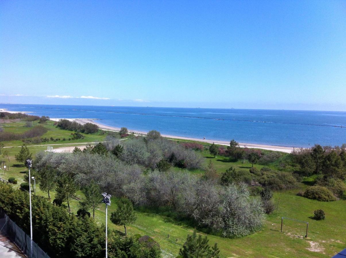 Belvedere *